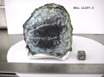Lab Photo of Sample MIL 11207 Showing Top View