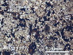 Thin Section Photo of Sample MIL 11207 in Plane-Polarized Light with 2.5X Magnification
