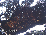 Thin Section Photo of Sample MIL 13037 in Plane-Polarized Light with 2.5X Magnification