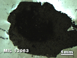 Thin Section Photo of Sample MIL 13063 in Reflected Light with 1.25X Magnification