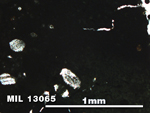 Thin Section Photo of Sample MIL 13065 in Plane-Polarized Light with 5X Magnification
