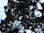 Thin Section Photo of Sample MIL 13124 in Plane-Polarized Light with 1.25X Magnification