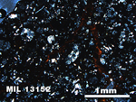 Thin Section Photo of Sample MIL 13152 in Plane-Polarized Light with 2.5X Magnification