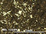 Thin Section Photo of Sample MIL 13226 in Reflected Light with 5X Magnification
