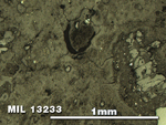 Thin Section Photo of Sample MIL 13233 in Reflected Light with 5X Magnification