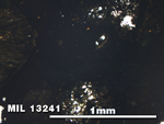 Thin Section Photo of Sample MIL 13241 in Plane-Polarized Light with 5X Magnification