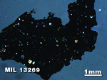 Thin Section Photo of Sample MIL 13269 in Plane-Polarized Light with 1.25X Magnification