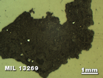Thin Section Photo of Sample MIL 13269 in Reflected Light with 1.25X Magnification