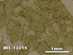 Thin Section Photo of Sample MIL 13315 in Reflected Light with 2.5X Magnification