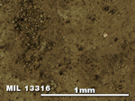 Thin Section Photo of Sample MIL 13316 in Reflected Light with 5X Magnification
