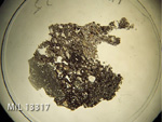 Photo of Entire Thin Section of MIL 13317 ,2 in Plane-Polarized Light