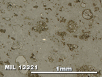 Thin Section Photo of Sample MIL 13321 in Reflected Light with 5X Magnification