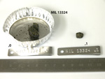 Lab Photo of Sample MIL 13324  Displaying Splits View