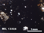 Thin Section Photo of Sample MIL 13324 in Plane-Polarized Light with 2.5X Magnification