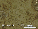 Thin Section Photo of Sample MIL 13324 in Reflected Light with 2.5X Magnification