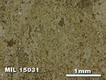 Thin Section Photo of Sample MIL 15031 in Reflected Light with 2.5X Magnification