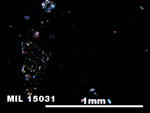 Thin Section Photo of Sample MIL 15031 in Cross-Polarized Light with 5X Magnification