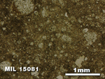 Thin Section Photo of Sample MIL 15081 in Reflected Light with 2.5X Magnification