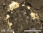 Thin Section Photo of Sample MIL 15123 in Reflected Light with 5X Magnification