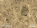 Thin Section Photo of Sample MIL 15148 in Reflected Light with 2.5X Magnification