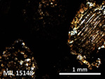 Thin Section Photo of Sample MIL 15148 in Plane-Polarized Light with 5X Magnification
