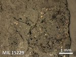 Thin Section Photo of Sample MIL 15229 in Reflected Light with 2.5X Magnification