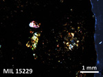 Thin Section Photo of Sample MIL 15229 in Cross-Polarized Light with 2.5X Magnification