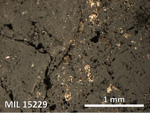 Thin Section Photo of Sample MIL 15229 in Reflected Light with 5X Magnification