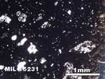 Thin Section Photo of Sample MIL 15231 in Plane-Polarized Light with 2.5X Magnification