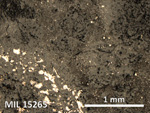 Thin Section Photo of Sample MIL 15265 in Reflected Light with 5X Magnification