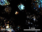 Thin Section Photo of Sample MIL 15265 in Cross-Polarized Light with 5X Magnification