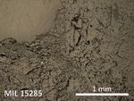 Thin Section Photo of Sample MIL 15285 in Reflected Light with 5X Magnification