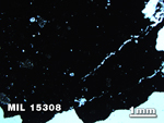Thin Section Photo of Sample MIL 15308 in Plane-Polarized Light with 1.25X Magnification