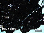 Thin Section Photo of Sample MIL 15308 in Cross-Polarized Light with 1.25X Magnification
