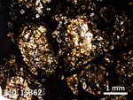 Thin Section Photo of Sample MIL 15362 in Plane-Polarized Light with 2.5X Magnification