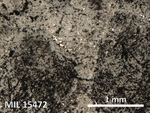 Thin Section Photo of Sample MIL 15472 in Reflected Light with 5X Magnification
