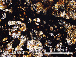 Thin Section Photo of Sample MIL 15550 in Plane-Polarized Light with 5X Magnification