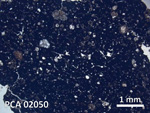 Thin Section Photo of Sample PCA 02050 in Plane-Polarized Light with 5X Magnification