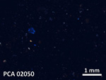 Thin Section Photo of Sample PCA 02050 in Cross-Polarized Light with 5X Magnification