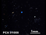 Thin Section Photo of Sample PCA 91008 in Cross-Polarized Light
