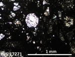 Thin Section Photo of Sample PRE 17271 in Plane-Polarized Light with 2.5X Magnification
