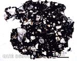 Thin Section Photograph of Sample QUE 86900 in Plane-Polarized Light