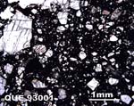 Thin Section Photograph of Sample QUE 93001 in Plane-Polarized Light