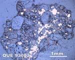 Thin Section Photograph of Sample QUE 93002 in Reflected Light