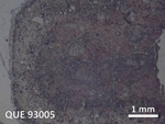Thin Section Photo of Sample QUE 93005 in Reflected Light with 5X Magnification