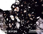 Thin Section Photograph of Sample QUE 93126 in Plane-Polarized Light