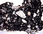Thin Section Photograph of Sample QUE 93150 in Plane-Polarized Light