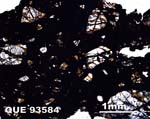 Thin Section Photograph of Sample QUE 93584 in Plane-Polarized Light