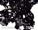 Thin Section Photograph of Sample QUE 93586 in Plane-Polarized Light