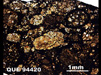 Thin Section Photograph of Sample QUE 94420 in Plane-Polarized Light